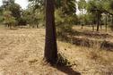 #4: View from the degree confluence to the south against the sunlight