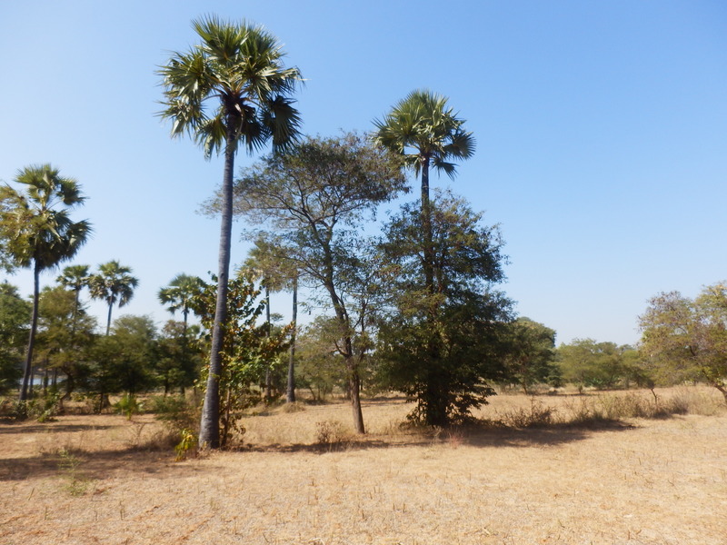 The Confluence from 25 m