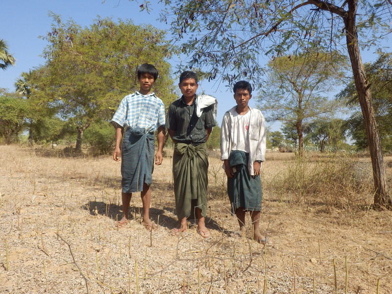 Local spectators