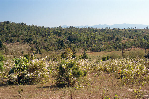 The degree confluence is just behind the small field in the middle