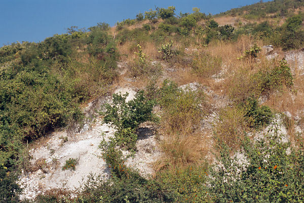 View to the north over the degree confluence