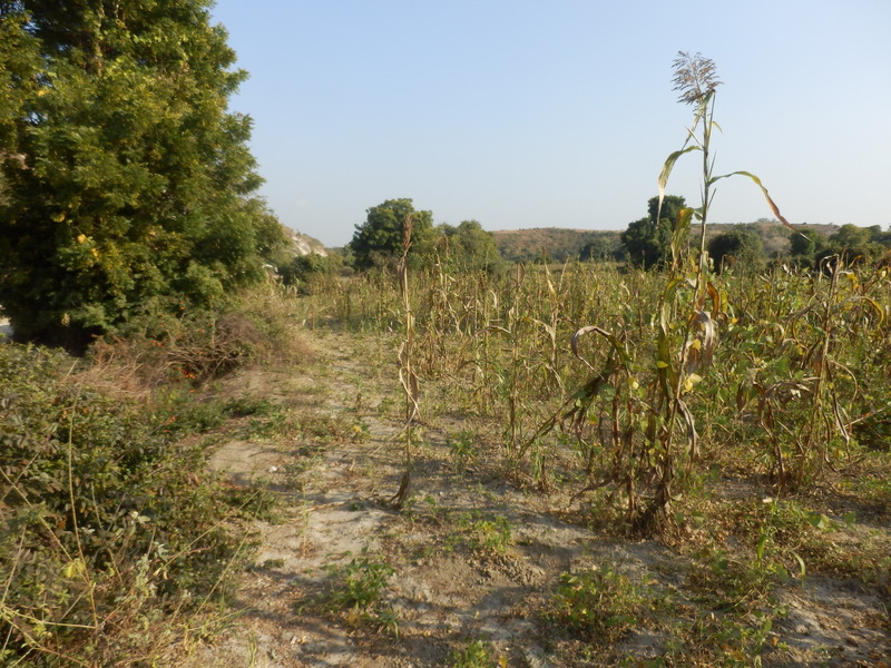 View to the East