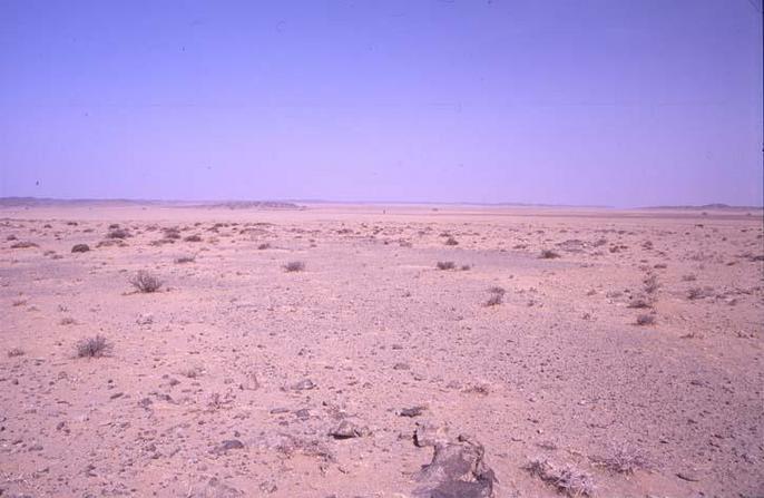 Looking north, stanging at the confluence