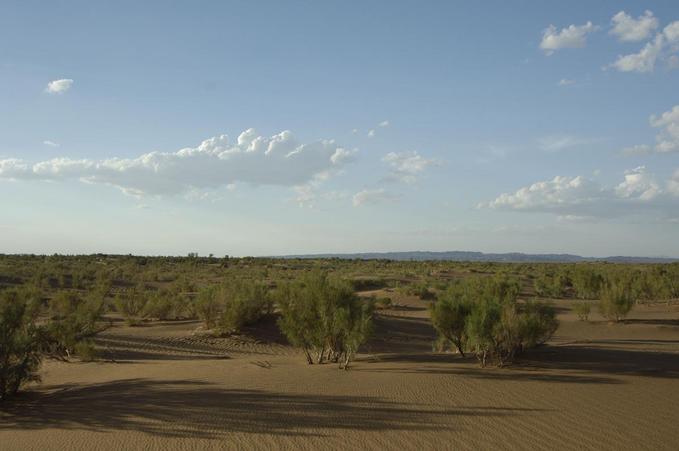 View N from the confluence