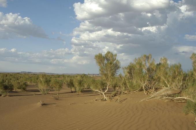 View E from the confluence