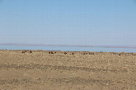 #9: Lake "Buun Tsagaan"