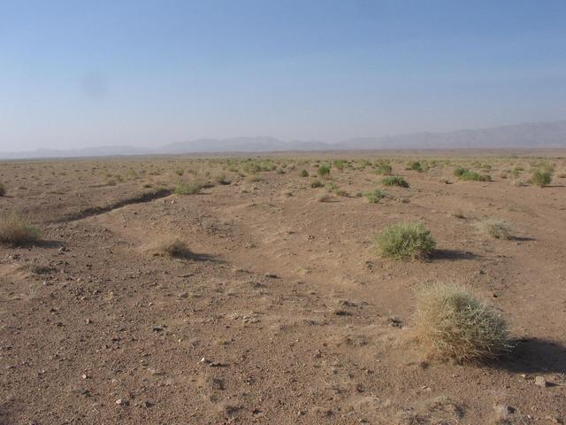 View S from the confluence