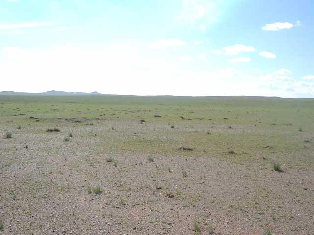 West view from the confluence