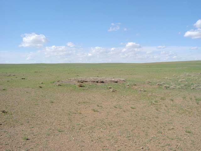 North view from the confluence