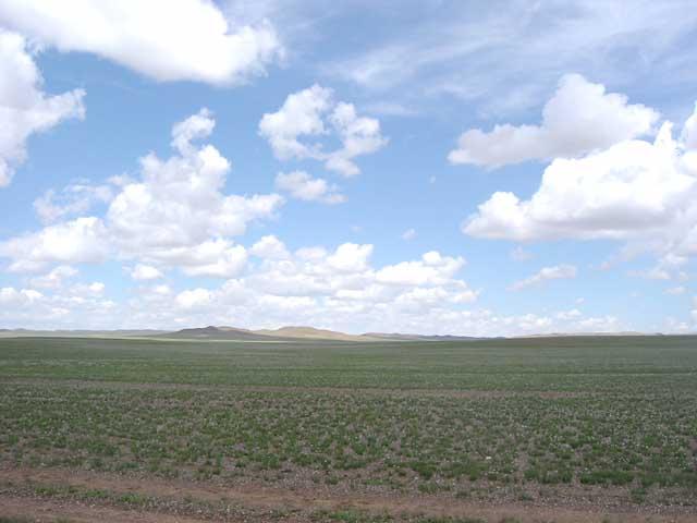 North view from the confluence