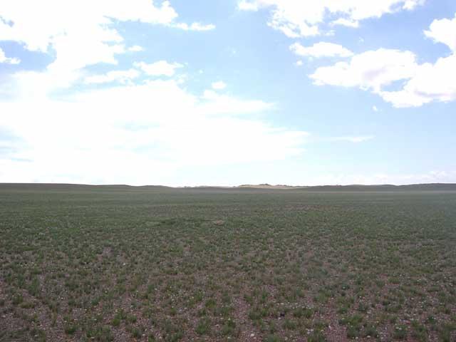 South view from the confluence