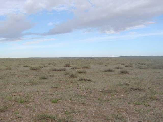 West view from the confluence