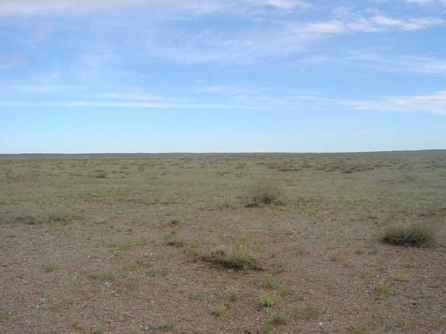 North view from the confluence