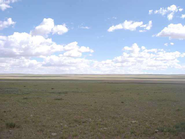 North view from the confluence