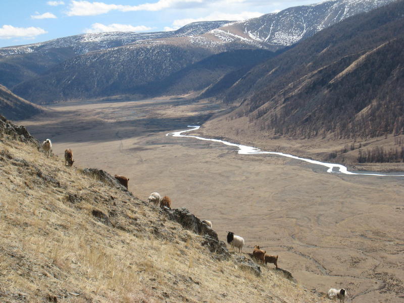 looking SE at confluence from across valley