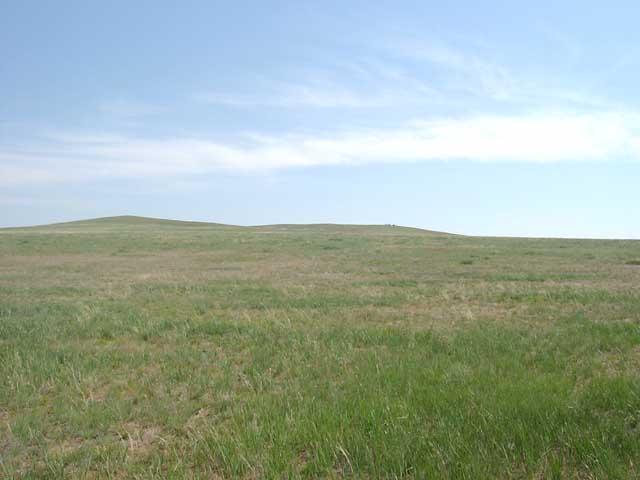 East view from the confluence