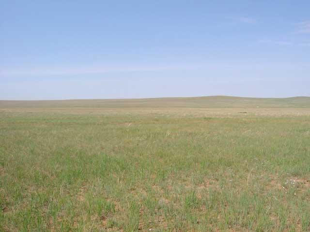 West view from the confluence