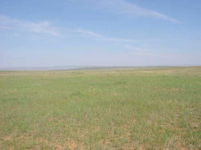 North view from the confluence