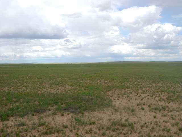 North view from the confluence point