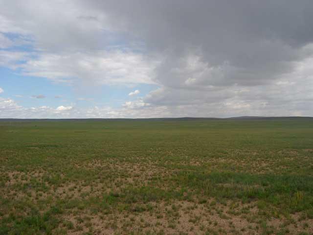 East view from the confluence point