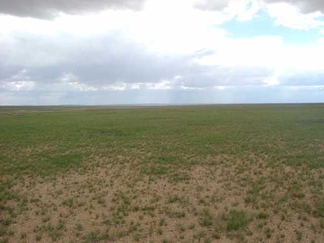 South view from the confluence point