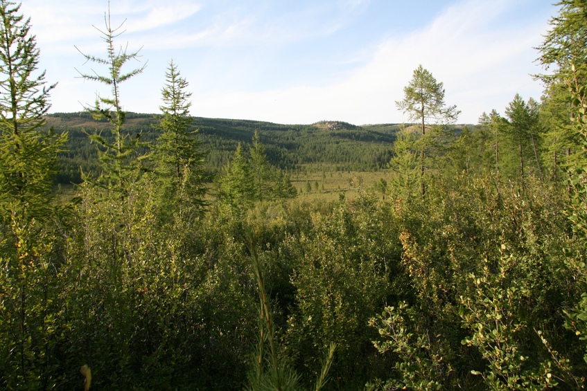 Facing North from confluence point