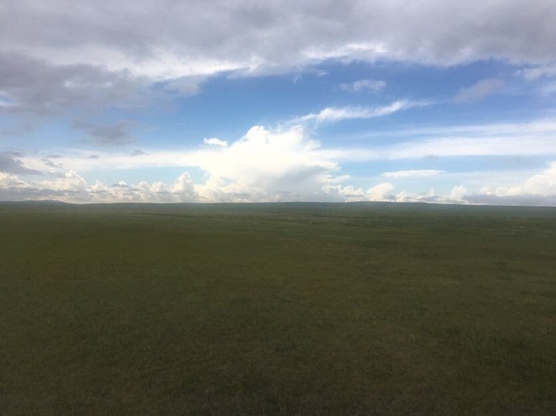 Facing South from the confluence