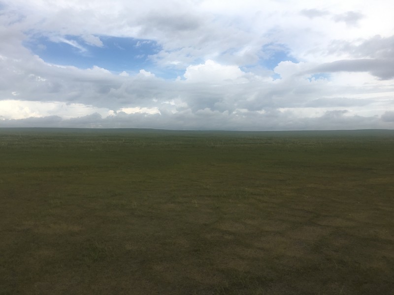 Facing West from the confluence