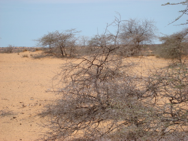 From the point to West (the sea is at almost 30 km)