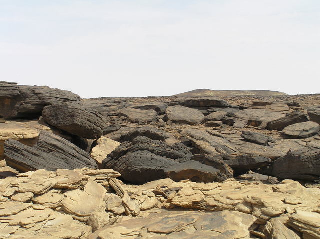 Some meters north of Confluence: top of El Khadra hill