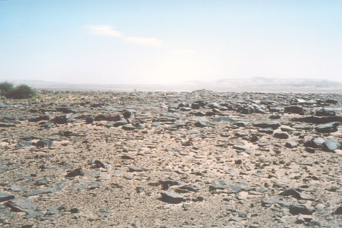 ...this part of the Adrar region is fairly barren - but has a beauty of its own.