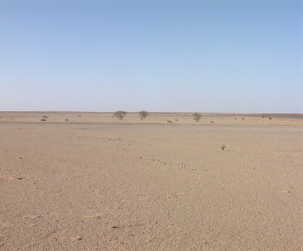 General view on confluence point from patrol car