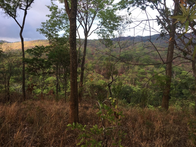 The Confluence from 15 m distance