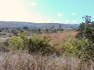 #1: View of the Confluence area