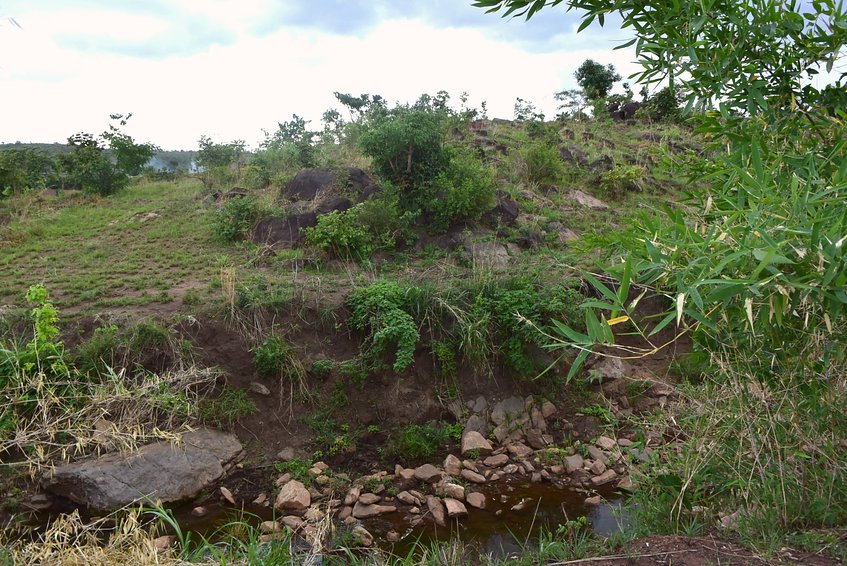 East - facing the creek