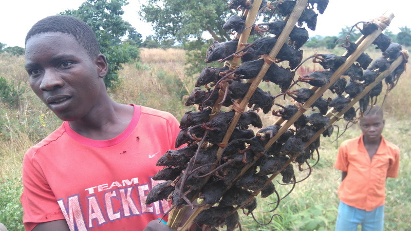 "African Sausages" for sale by the road