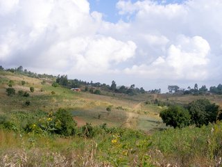 #1: Looking south from the confluence