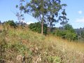 #4: Looking east from the confluence