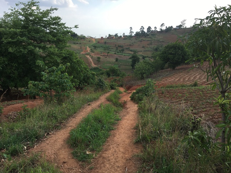 The track from the confluence point