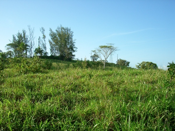 West view from confluence