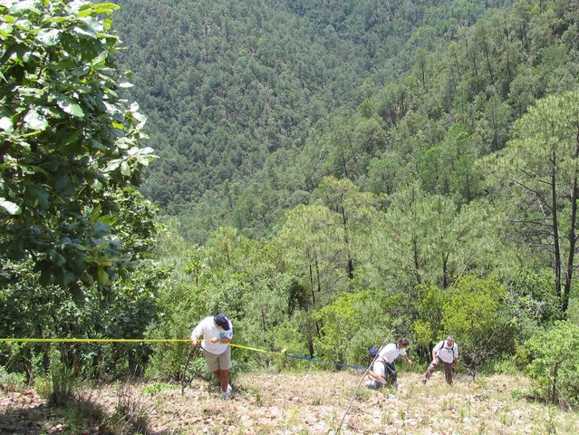 Using ropes down the hill