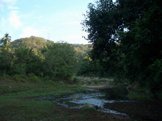 View to North-East up the river