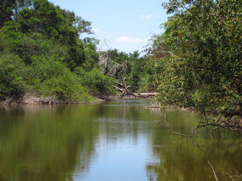 Belize border