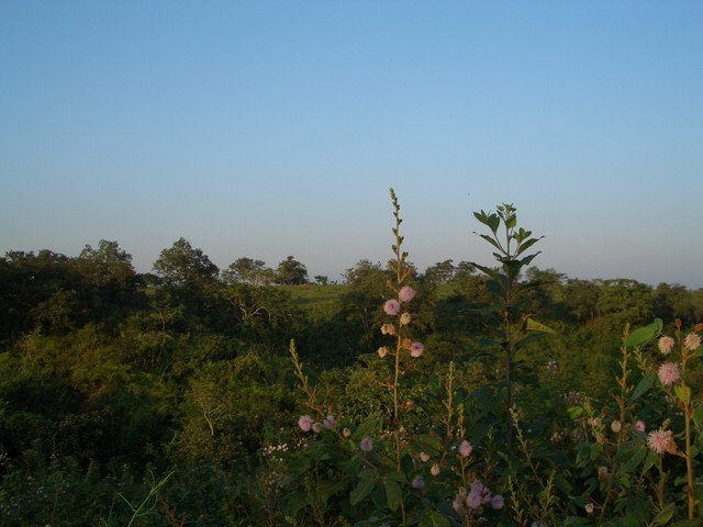 View to the North