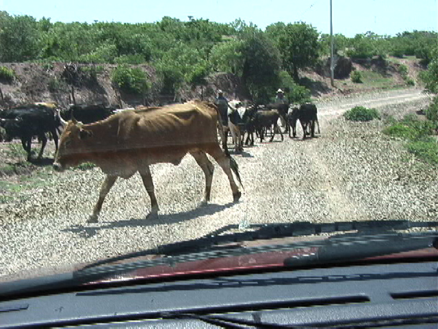 Dirt road to confluence