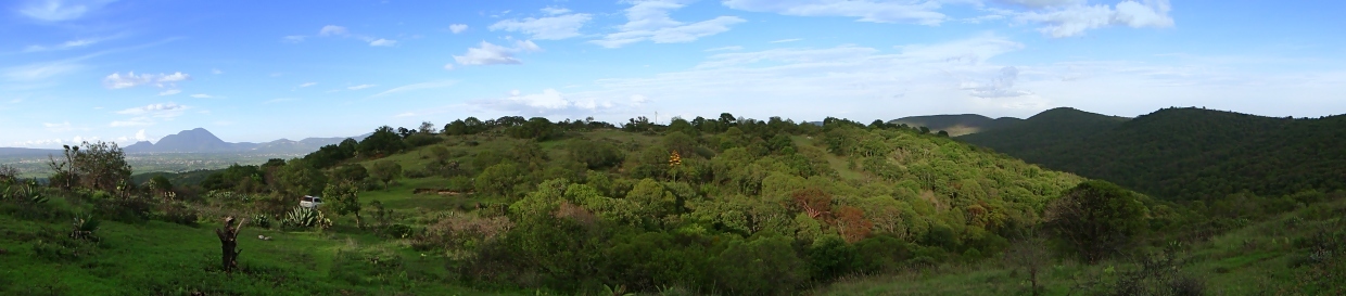 General view of the confluence area.