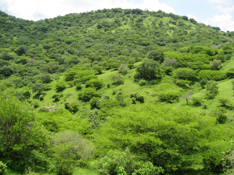 Looking toward the Confluence Point from 300 meters away