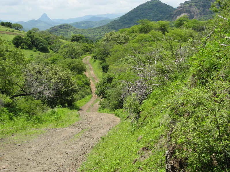 The road which brought us 330 meters from the point