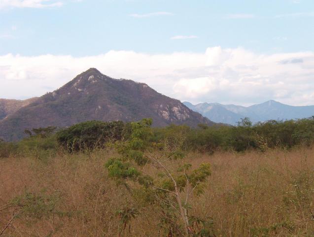 view above weedy confluence field, to the north