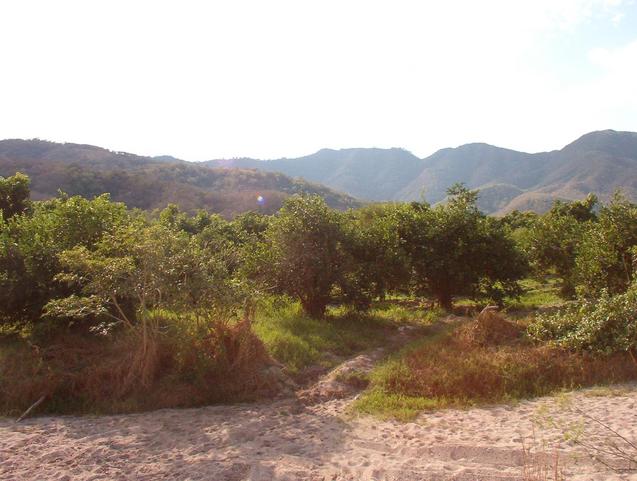 view from the road, confluence is 385m to the west